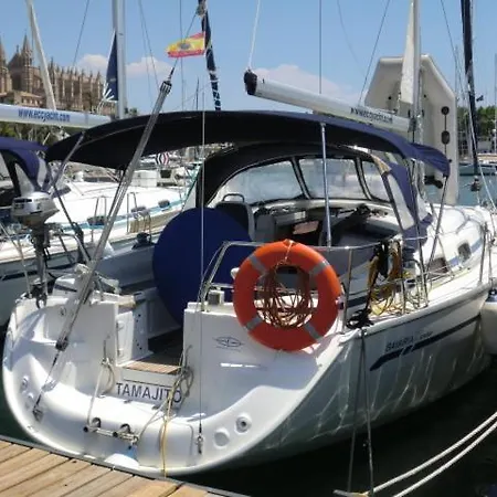 Velero Tamajito S C Tenerife *